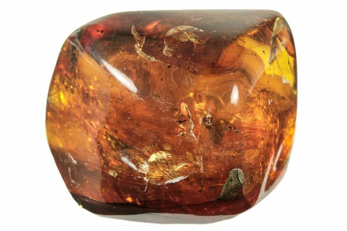 Polished Chiapas Amber ( g) - Mexico #274418